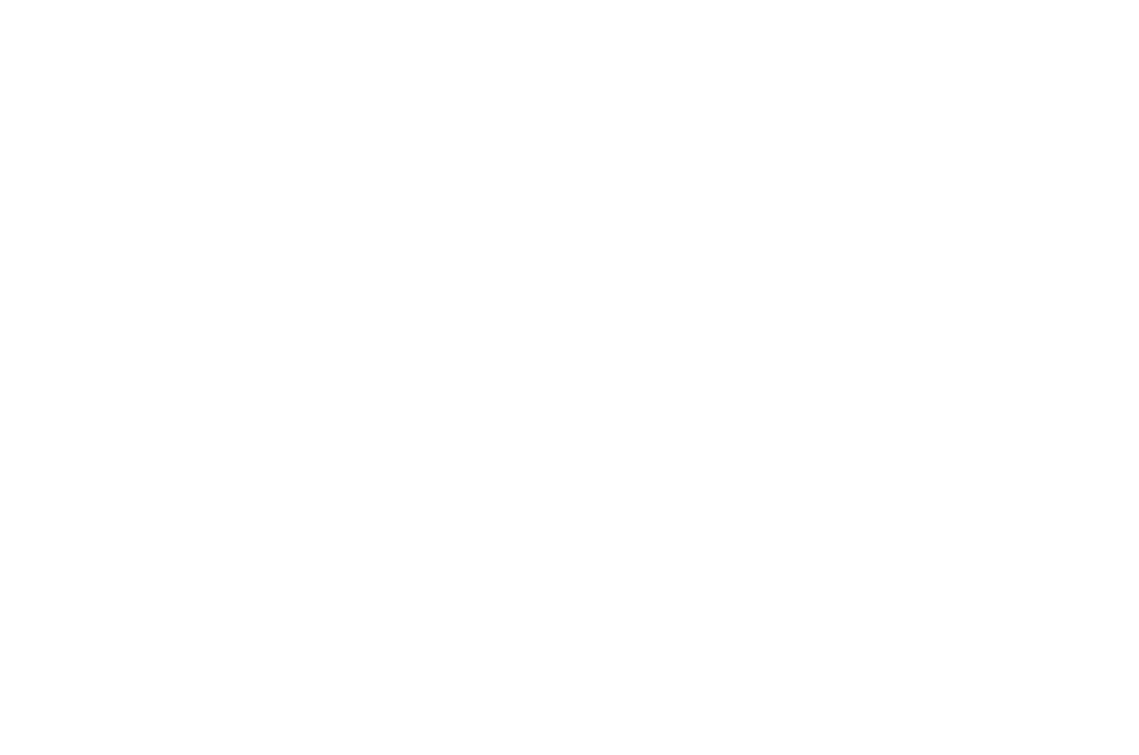 BGE_logo_DIAP-white_WEB