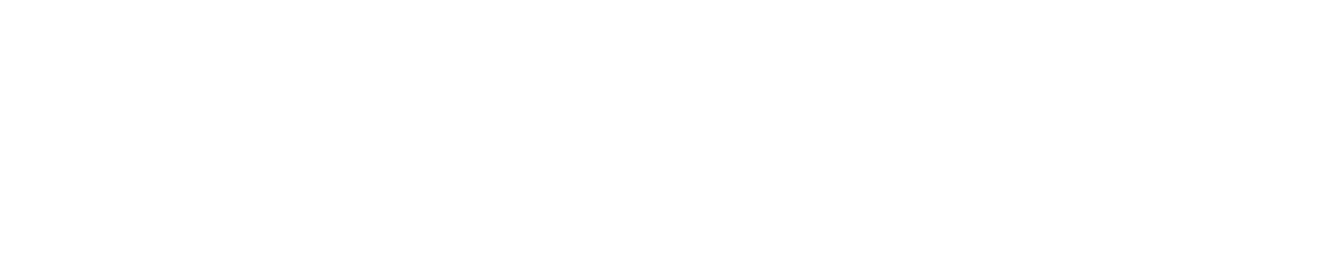 De_Telegraaf_krant_GROOT_wit